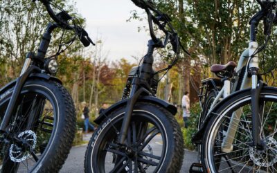 What’s The Deal with All These E-Bikes?